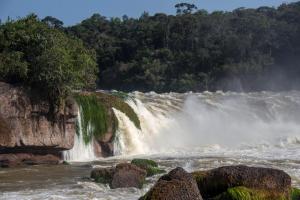 Parque Nacional Natural Yaigojé Apaporis